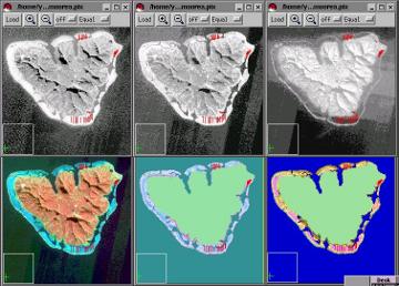 moorea_radiometric_noise