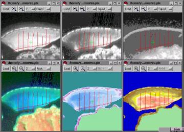 moorea_6screens_Orau