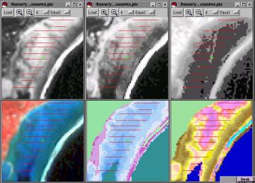 moorea_6screens_Temae